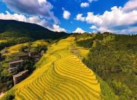 非遗+山水火热出圈，广西包车旅游迎来新高峰！